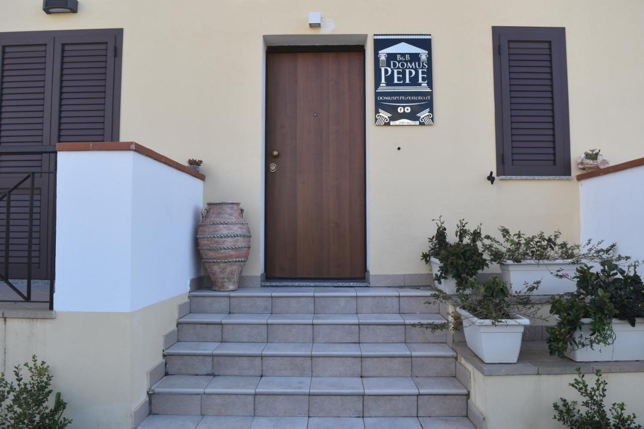 Bed & Breakfast Domus Pepe 斯卡莱阿 外观 照片